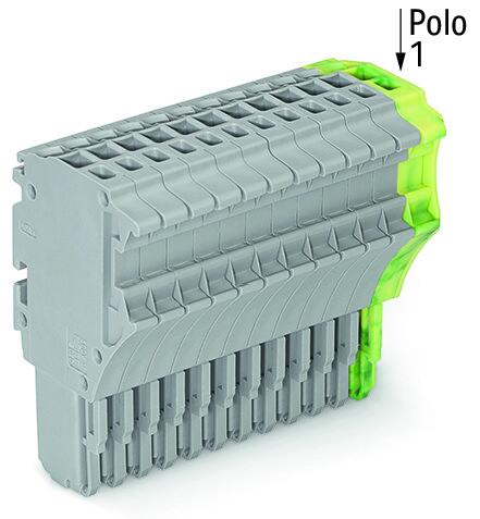 2020-114/000-036 WAG