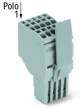 2020-215/125-000 WAGO