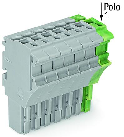 2022-108/000-036 WAGO