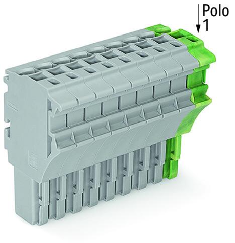 2022-110/000-036 WAGO