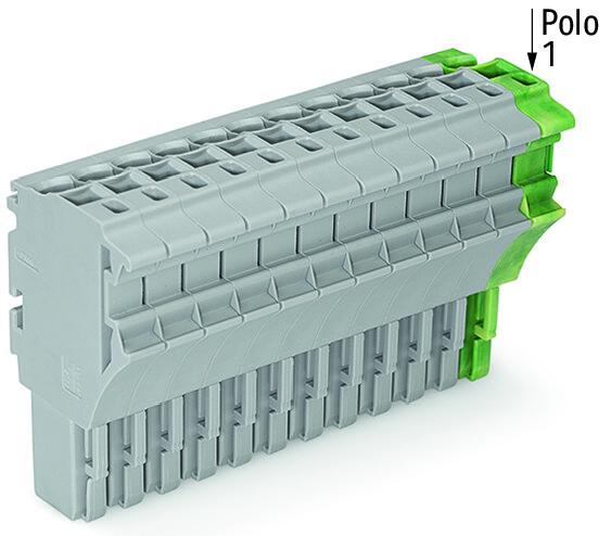 2022-113/000-036 WAGO