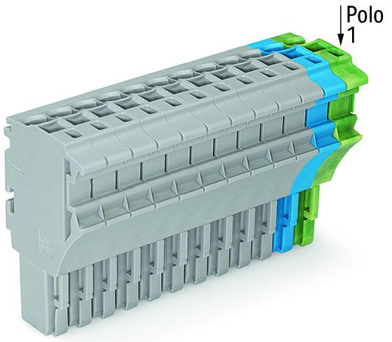 2022-113/000-038 WAGO