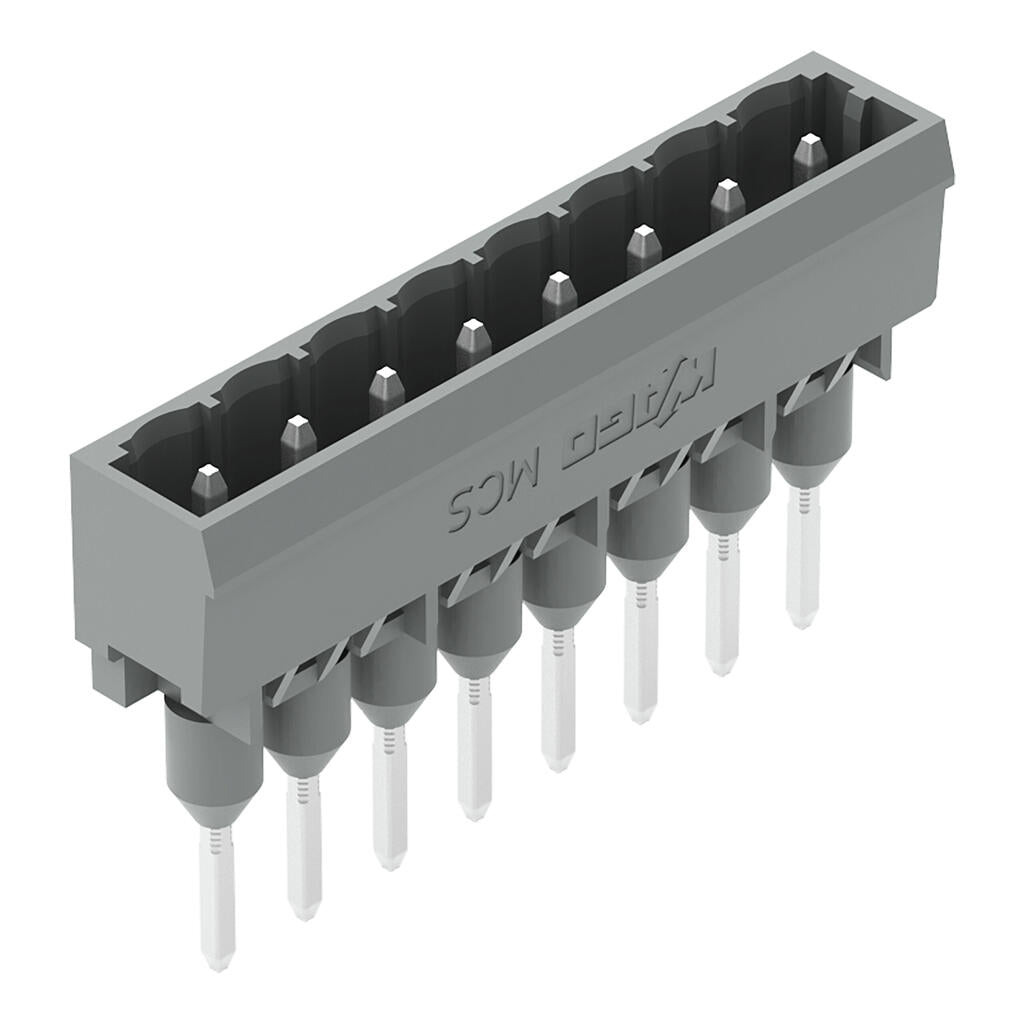 Conector-macho_231-168_003-000