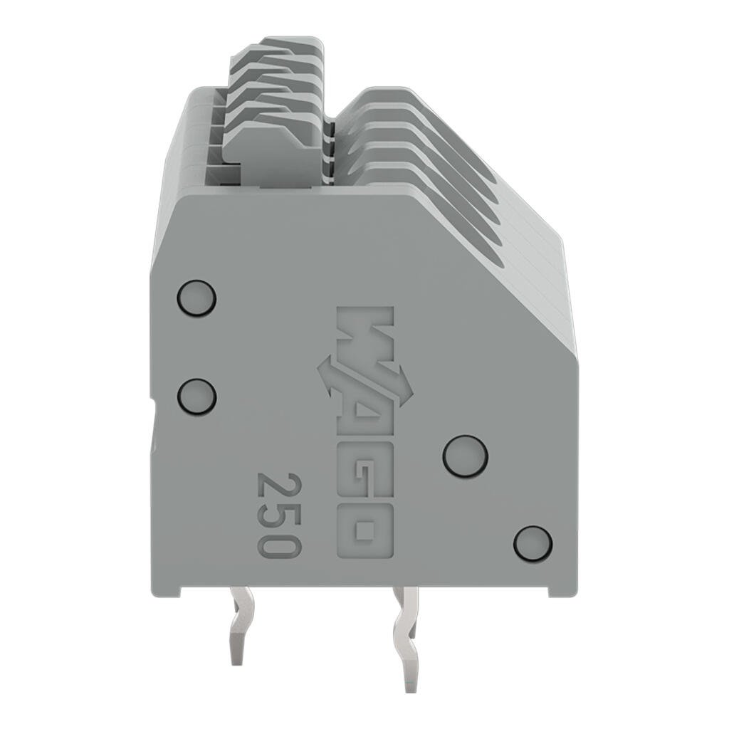 Borna_250-205