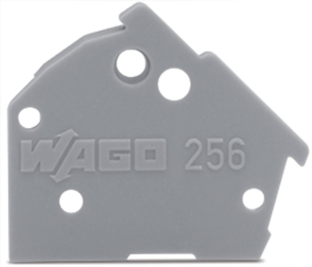 Placa-final_256-800
